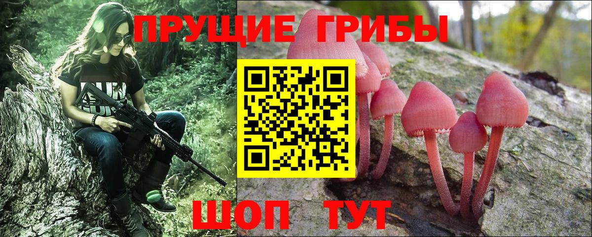 Галлюциногенные грибы Psilocybine cubensis  Вход с VPN  как найти наркотики  Тавда 